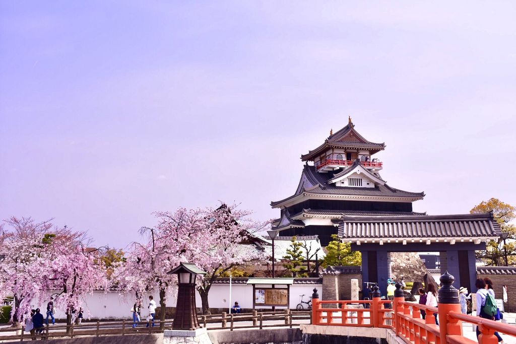 春日井市の城と桜