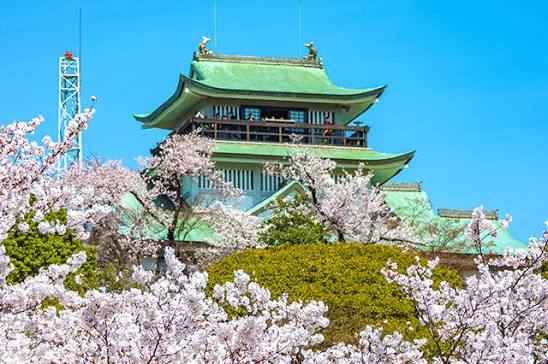 小牧山城と桜