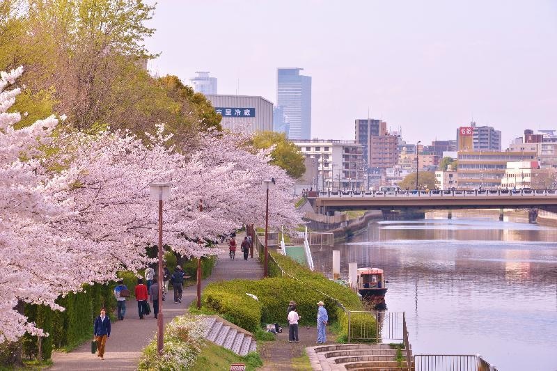 桜が咲く川沿いの遊歩道と熱田区周辺の街並み