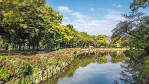名城公園の水辺と緑