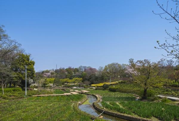 名古屋市緑区の緑豊かな公園