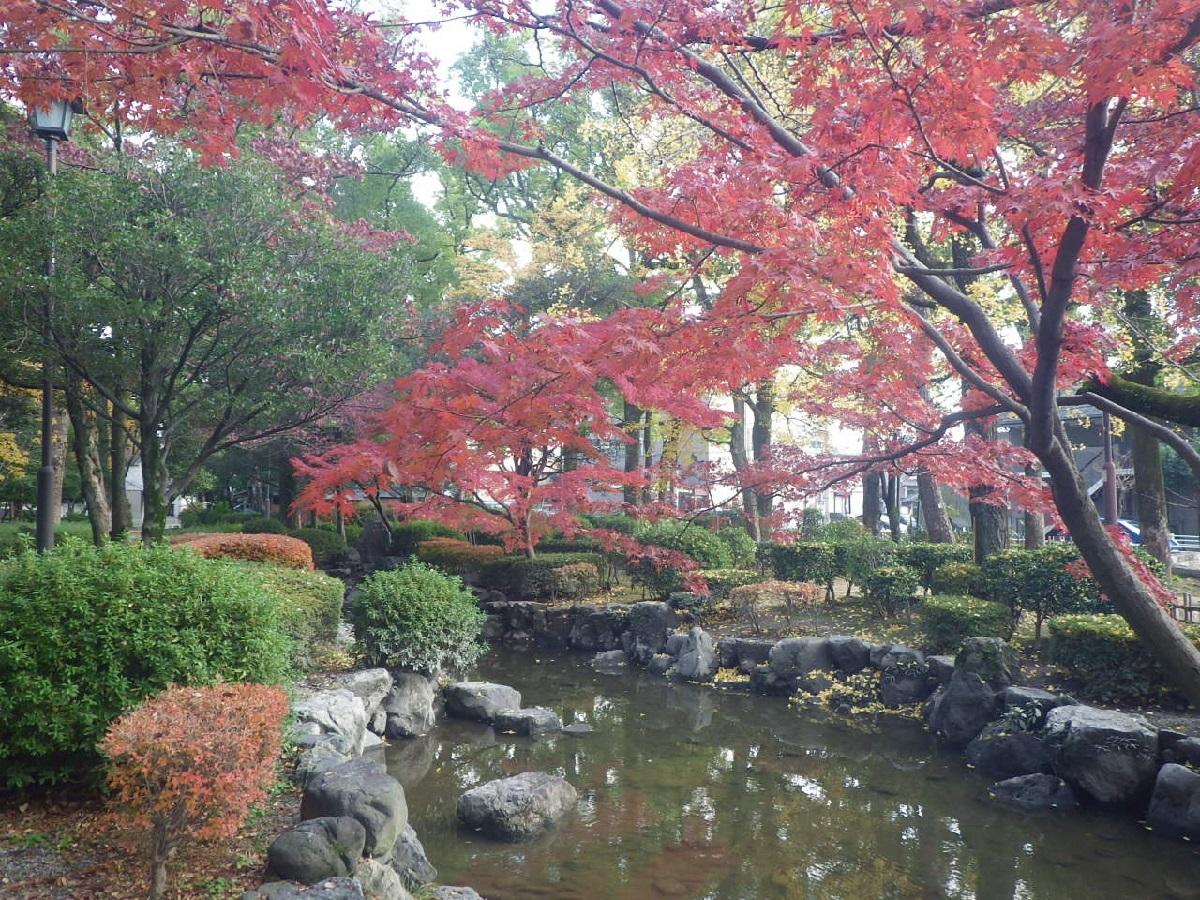 紅葉に彩られた中村区の公園