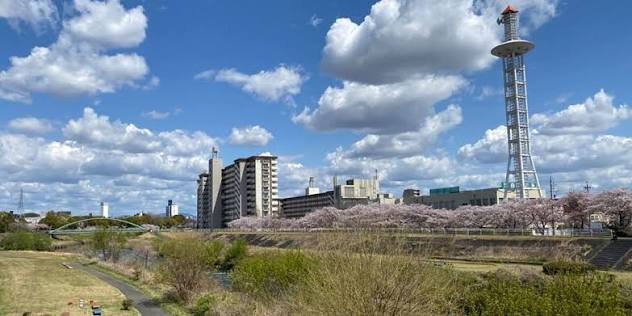 天白川沿いの桜と街並み