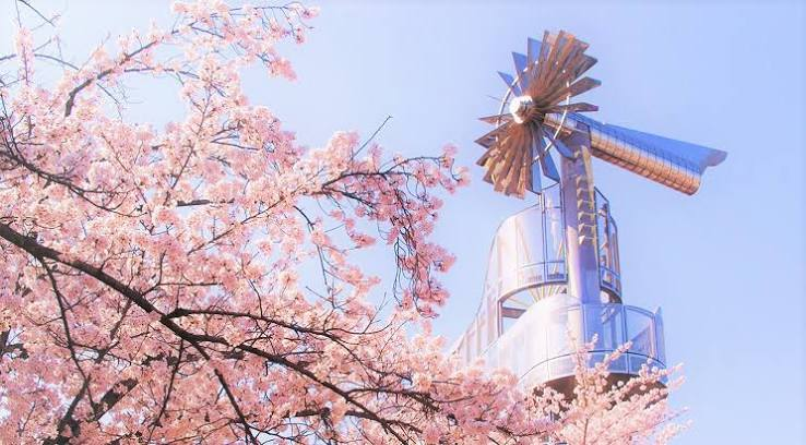 満開の桜と金属製の風車形の塔