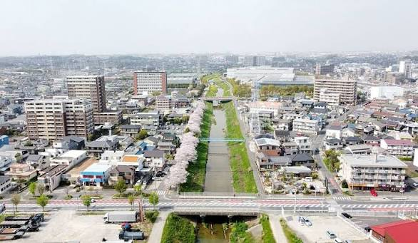 川沿いの桜並木と周辺に広がる住宅地