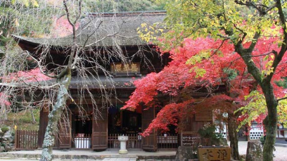 瀬戸市の寺院と紅葉