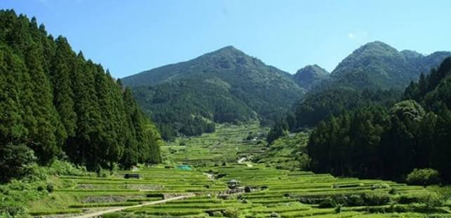 山間に広がる棚田と周囲の山々