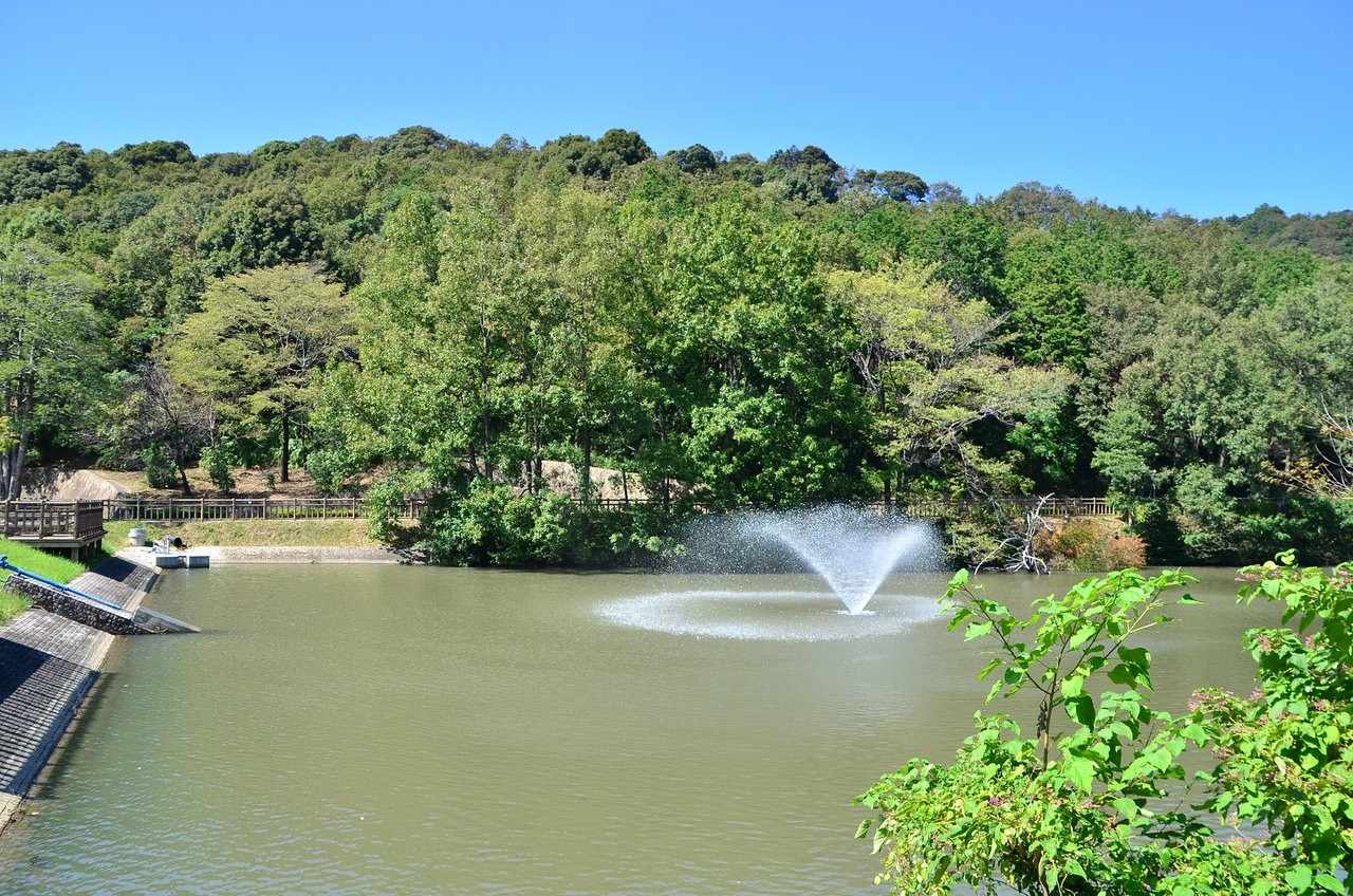 豊川市の池と緑豊かな公園