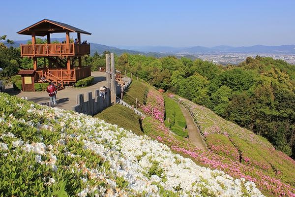 豊川市の山並みと花の景観